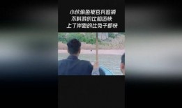 最新偷鱼爆料新闻报道视频,视频揭露惊人内幕