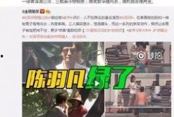 王四粉丝爆料视频最新,最新视频揭秘幕后故事