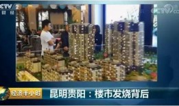 最新昆明爆料事件视频,视频揭露惊人真相，网友热议不断