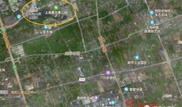 最新卤蛋爆料配方视频讲解,视频讲解带你轻松掌握美味秘诀